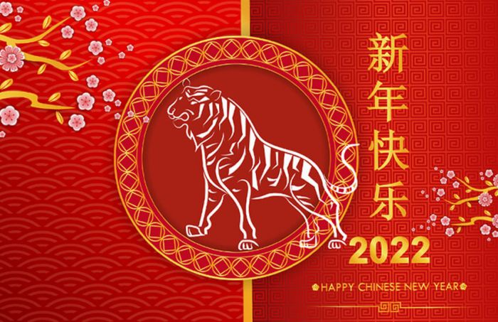 Chinese Astrology – 2022 Annual Forecast and Flying Stars