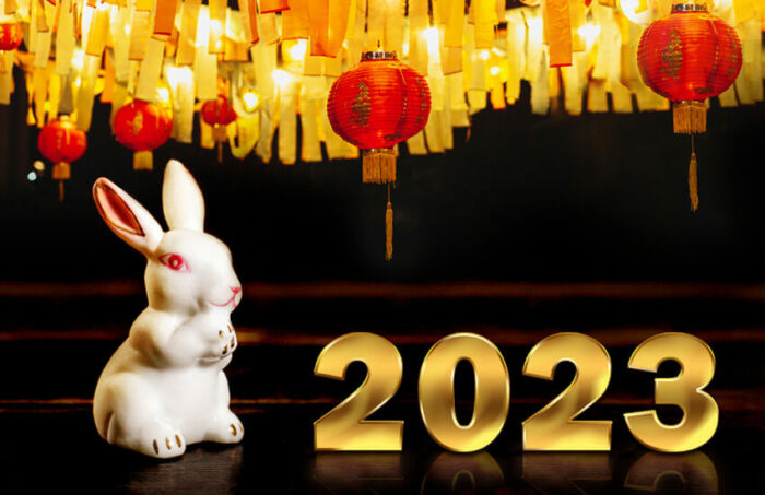 Year o fthe Rabbit 2023